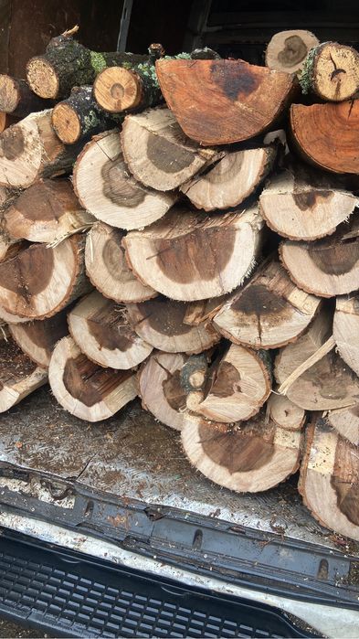 Lemne de toate categoriile