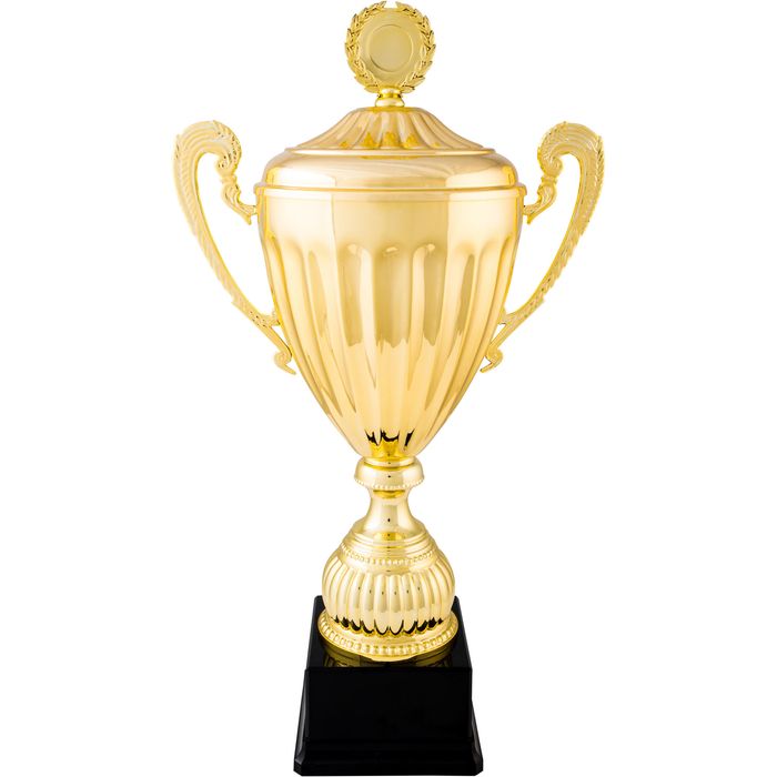 Cupă C920 Or 40cm - BENJAMIN - produs resigilat Decathlon
