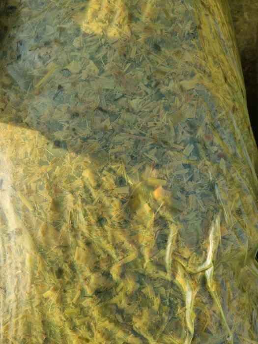 Donli makka silos sotiladi