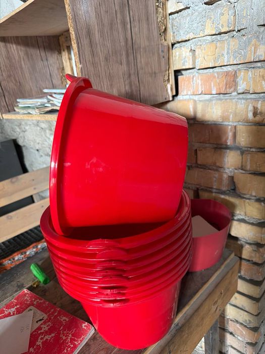 Efekt Taysin Panda paqrlar brnchi qol oftm narxlarda dastafka bor