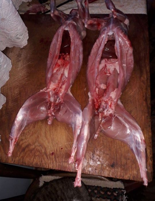 Мясо домашнего кролика