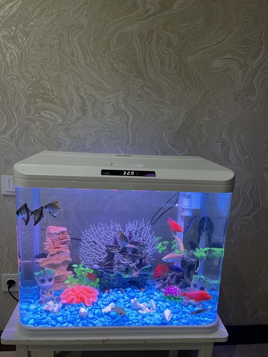 Akvaryum Xitoy Mini Akvarium 45 littlr