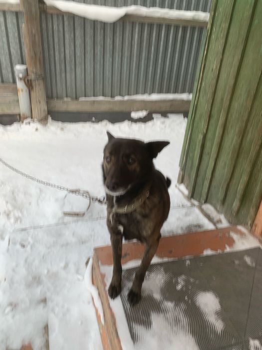 Мальчишка ищет дом