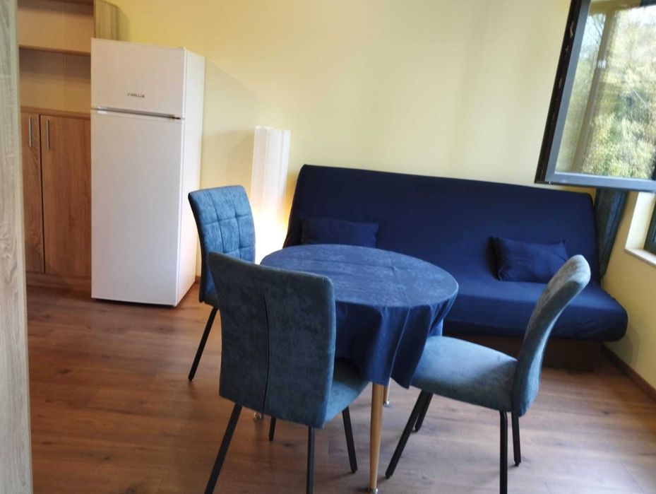 Дава се под наем Едностаен апартамент в София, Бъкстон - 33 кв.м за 433.5 € - Снимка #3