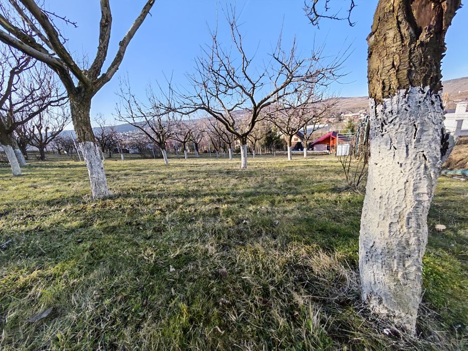 85.800 €, Teren în LIVEZENI, 780 MP, str Pădurii, 110  €/MP