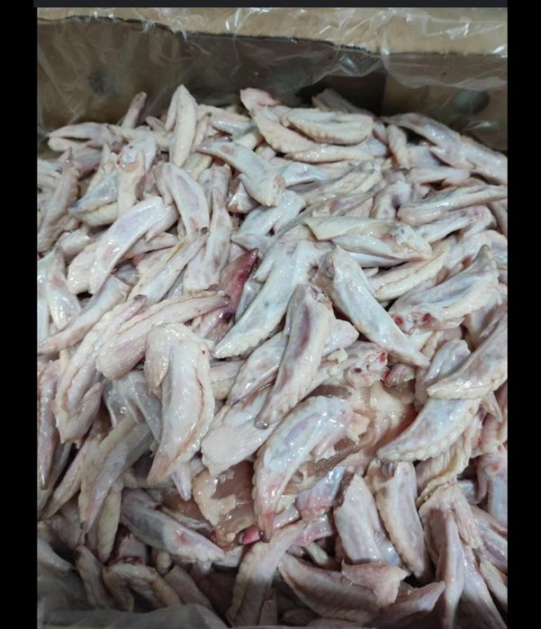 Корм для собак фаланга крыла