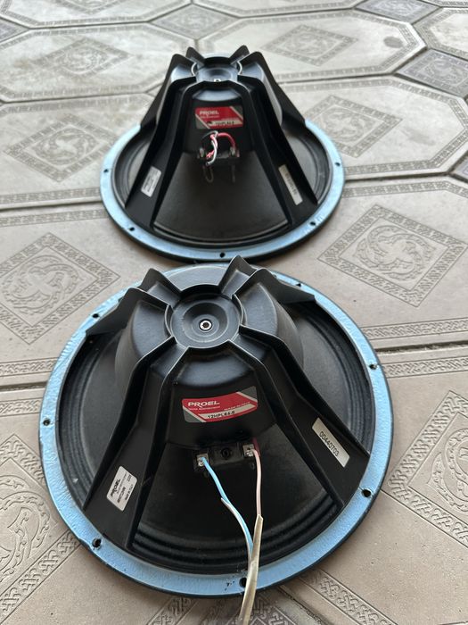 Фирменые динамики 12 Proel