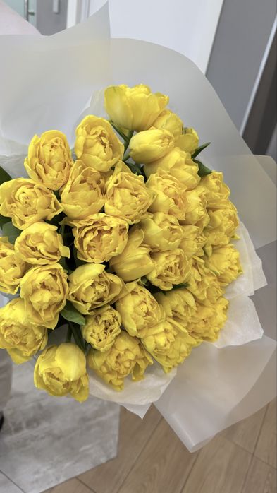 Продам свежее цветы тюльпаны 35 шт