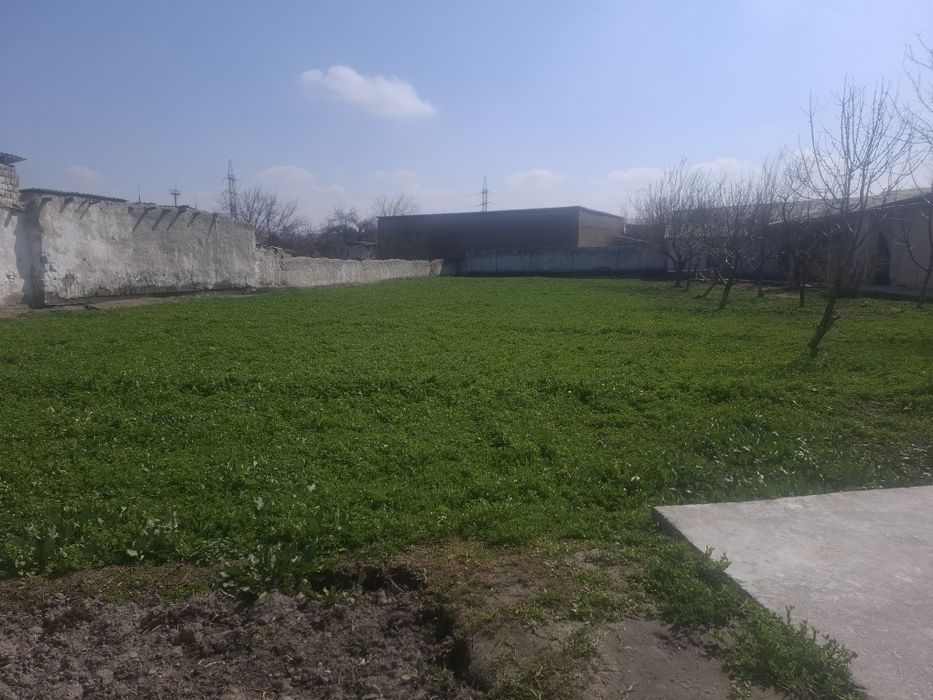 Yer uchastka 10 sotix