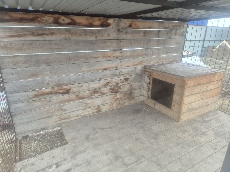 Вальер+ будка для собак