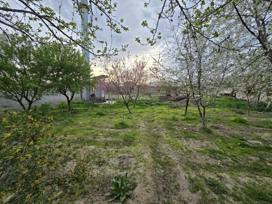 Uchastka 6.yarm sotih.ishonch mahallasida