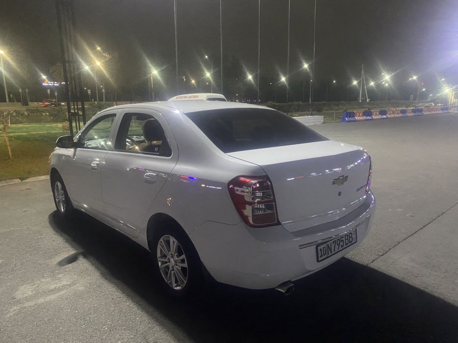 COBALT 2023 краска тоза 100%