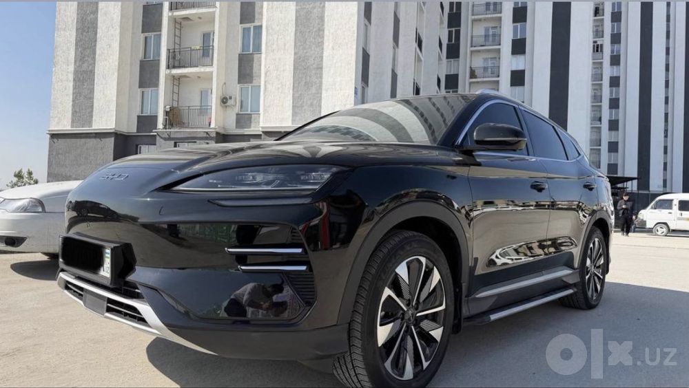 Byd Chempion Restayling 2025