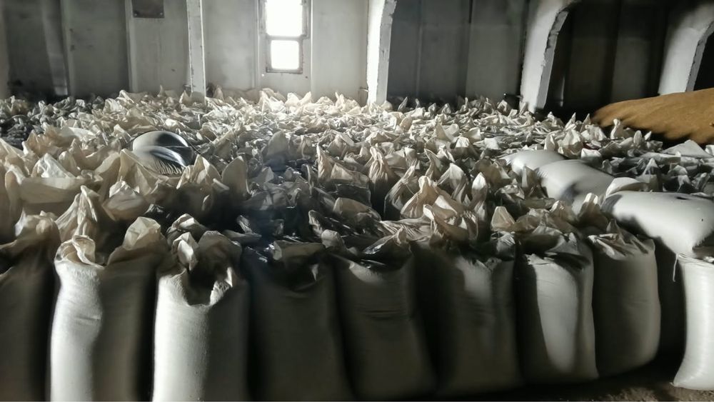 Продам овёс, пшеница, ячмень