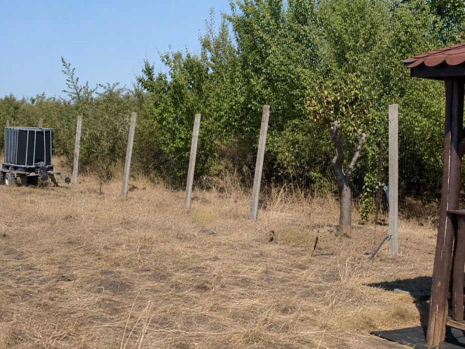 TEREN DE VÂNZARE – LIVADA DIN PALEU, în apropiere de Dealul Viilor