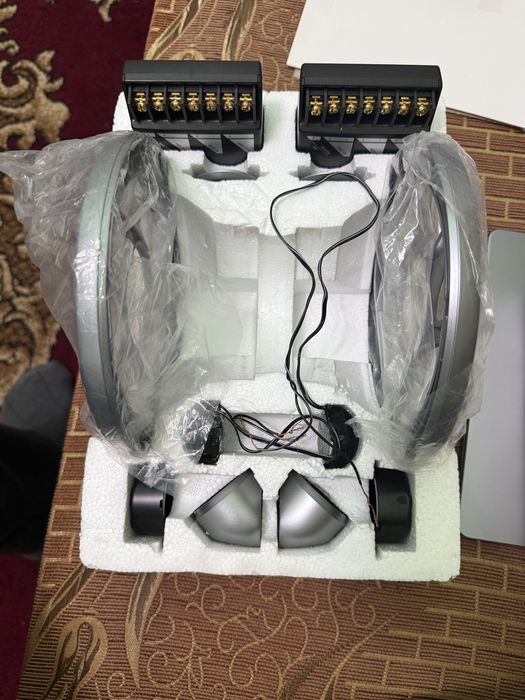 Pioneer pishalka original