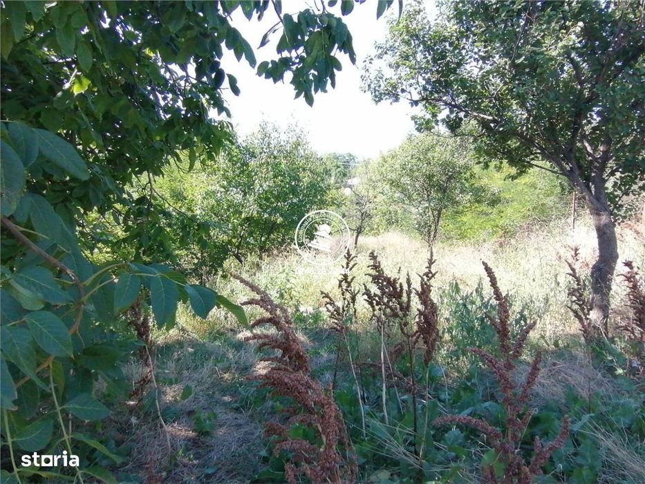 Teren de vanzare in Cristesti, comuna Holboca
