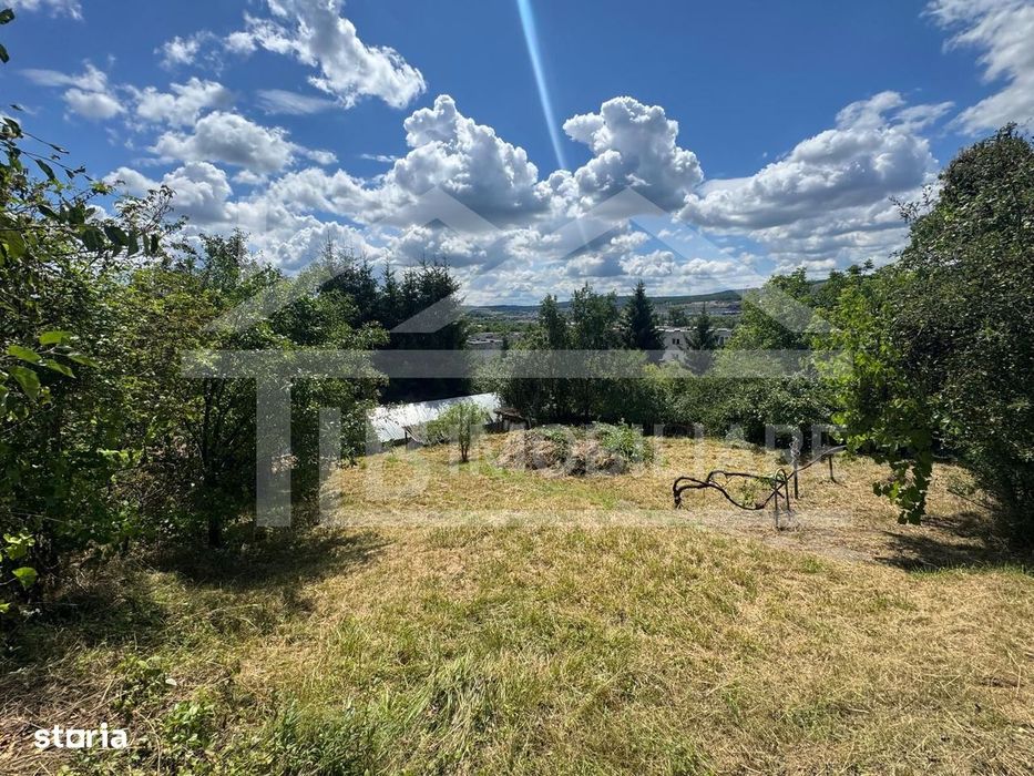 Casa cu 3 camere, 2300mp teren, zona SubPadure