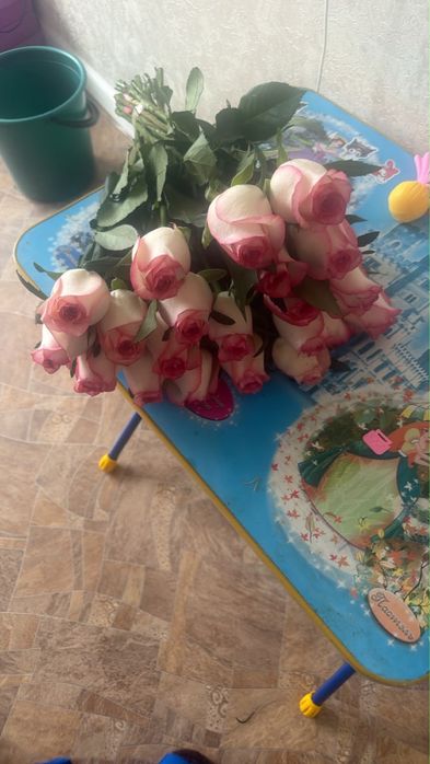 Продается цветы 51
