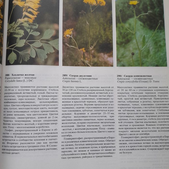 Цветовой атлас растений Библия