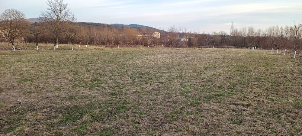 Teren Intabulat Intravilan cu Nr de Casa ,drum Privat 4600 mp