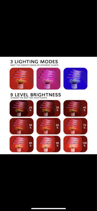 фитолампа с таймером