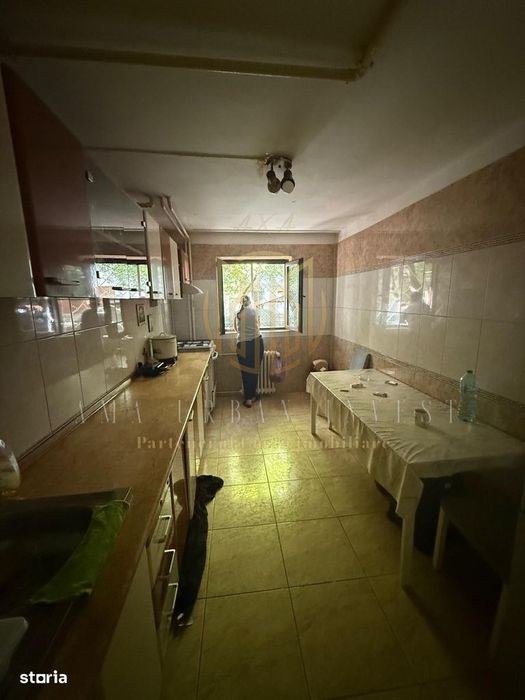 Teiul Doamnei Grigore Ionescu 4 camere 85 mp , an 1986 , pret 156000 e