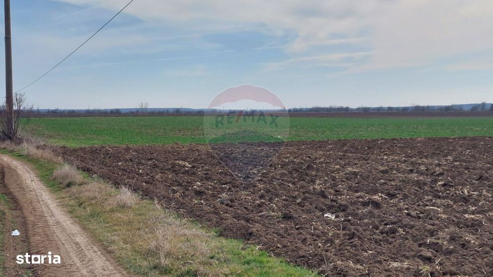 Teren 5,000mp Moara Vlasiei / Strada Morii