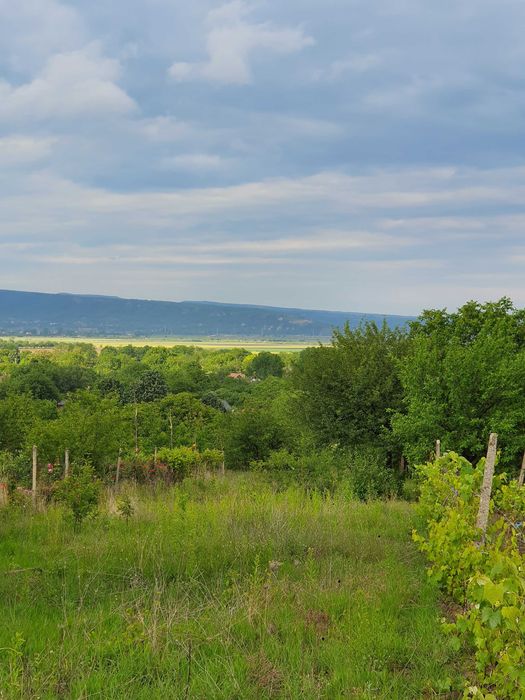 Vand Teren Niscov plus Casa Cadou
