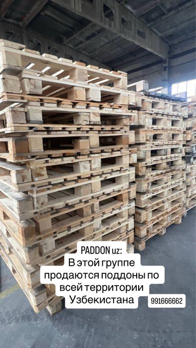 Chorniga lombozga. Polga paddon yog’och