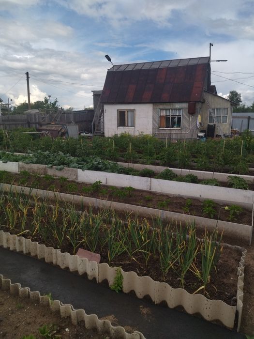 Дача в обществе Ромашка