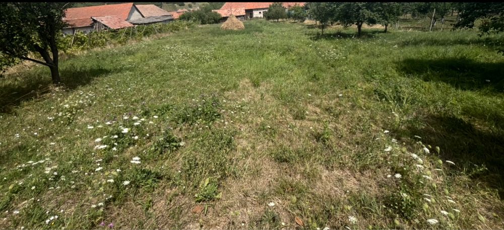 Casa Cricau 3000 mp teren