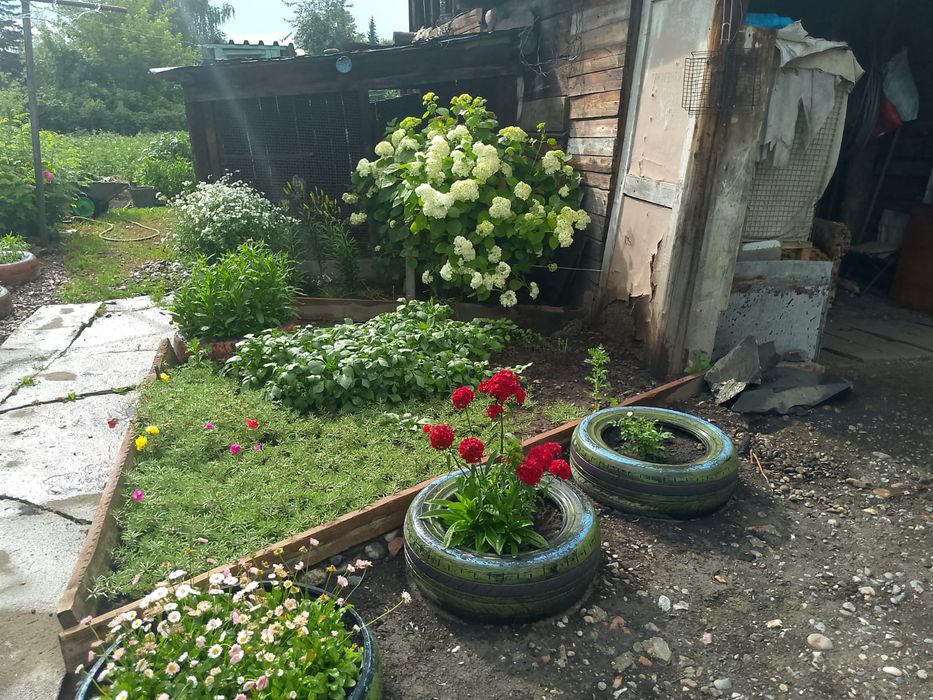 Продам дом в городе Алтай (Зыряновск)