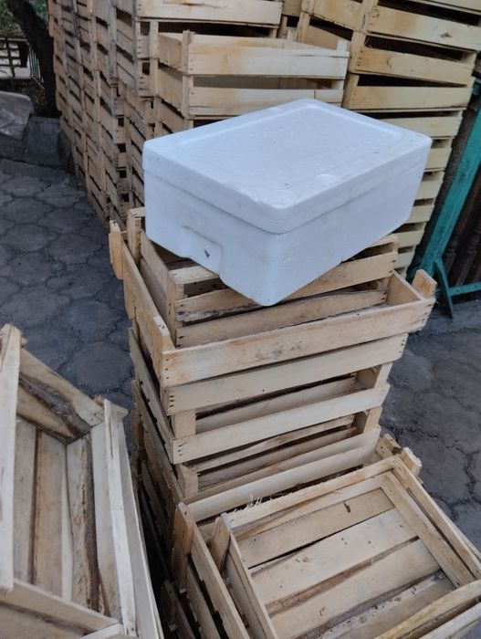 Продам ящики пенопласт