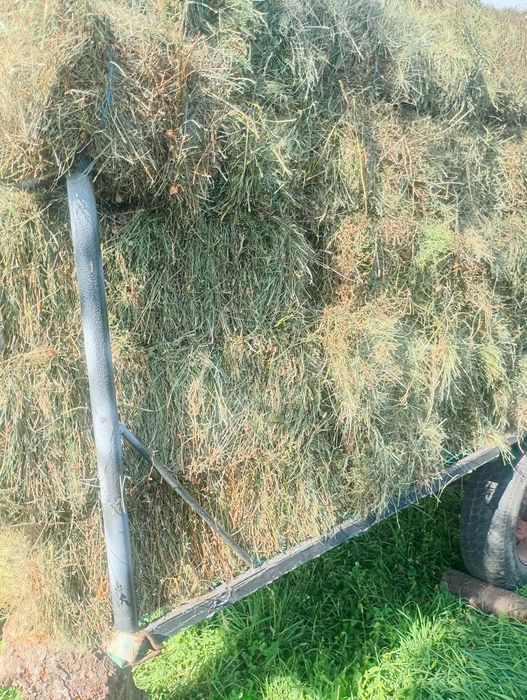 Baloți de fân și paie