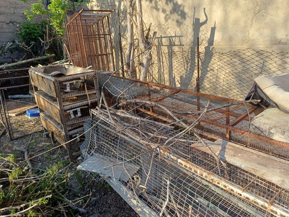 Клетки не дорого