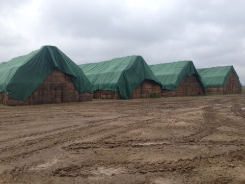 PRELATA IMPERMEABILA, Protectie FÂN/Baloti/Cereale 9.8x25m=1720