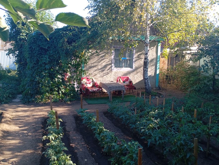 Продам дачу в городе