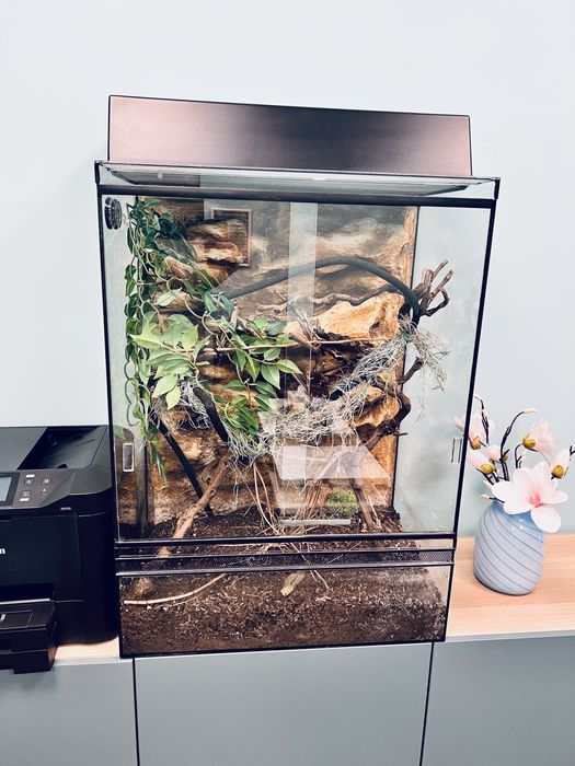 Terariu custom premium, complet echipat