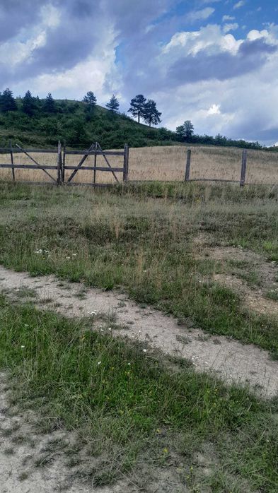Teren extravilan în comuna Sălciua, județul Alba