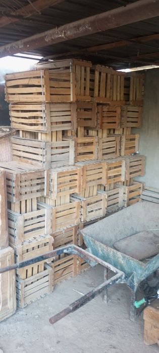 Pomidor yashik sotiladi urganchda