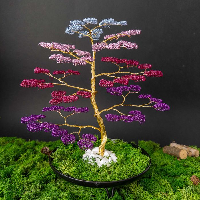 Декоративен бонзай с персонализирани снимки