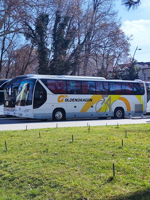 Goldin drakon avtobuz