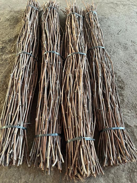 Vand portaltoi vita de vie