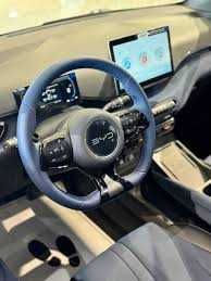 byd seagull podzakaz