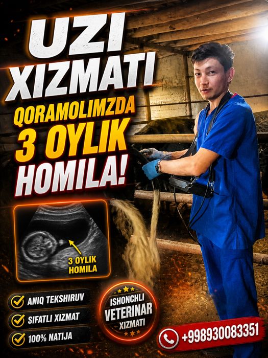 Veterinariya xizmati 24/7 xizmatda