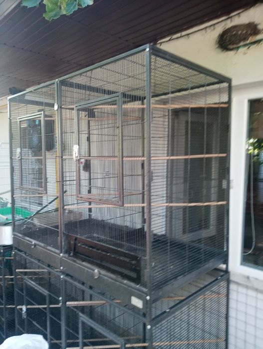 Voliera colivie papagali