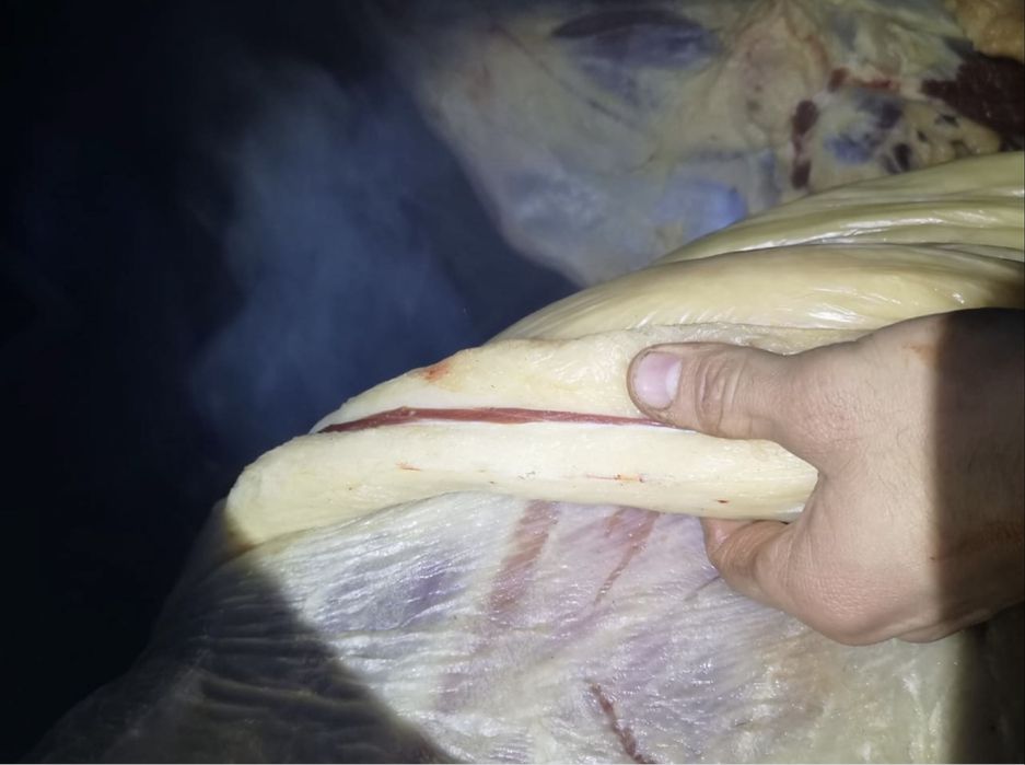 айгыр казаки жабы