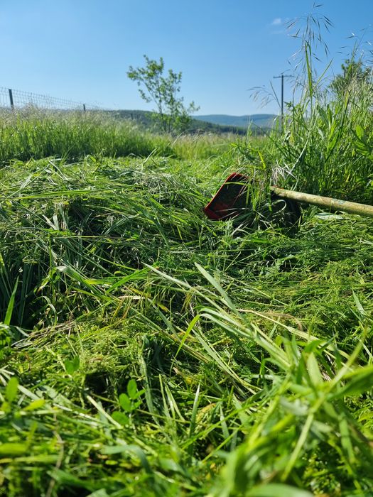 Servicii peisagistica și întreținere grădini