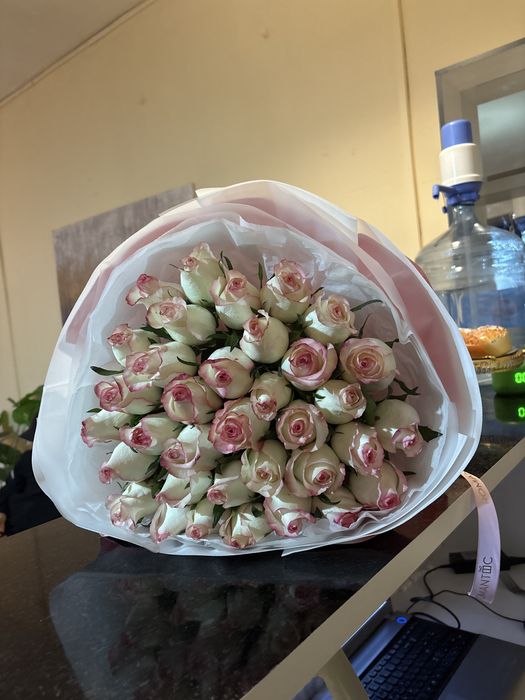 Роза 25 штук романтик